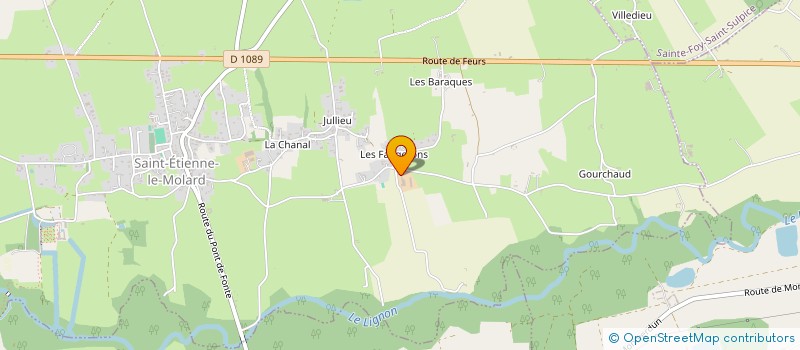 localisation de l'entreprise GROUPEMENT AGRICOLE D'EXPLOITATION EN COMMUN DE L'ASTREE à SAINT-ETIENNE-LE-MOLARD