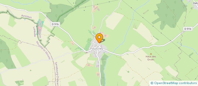 localisation de l'entreprise GROUPEMENT AGRICOLE D'EXPLOITATION EN COMMUN DE L'EMPREICHE à FOULCREY