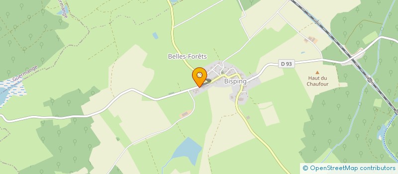 localisation de l'entreprise GROUPEMENT AGRICOLE D'EXPLOITATION EN COMMUN DES SAULES à BELLES-FORETS