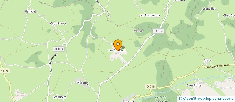 localisation de l'entreprise GROUPEMENT AGRICOLE EN COMMUN RECONNU VOZEL  PIONSAT