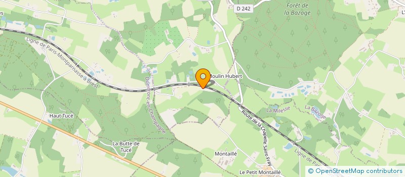 localisation de l'entreprise GROUPEMENT DE DEFENSE DES CULTURES  RUILLE-EN-CHAMPAGNE