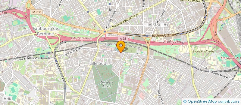 localisation de l'entreprise GROUPEMENT DES ENTREPRISES FRANCAISES DANS LA LUTTE CONTRE LE CANCER DISTRICT FLANDRE ARTOIS à LILLE