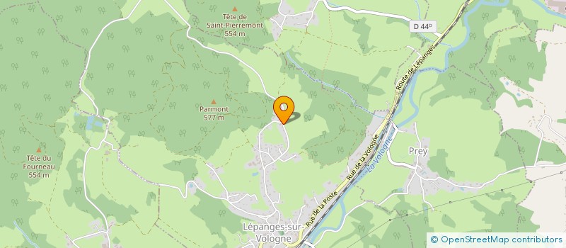 localisation de l'entreprise GROUPEMENT FONCIER AGRICOLE DE L'ABC DES BOSQUETS  LEPANGES-SUR-VOLOGNE