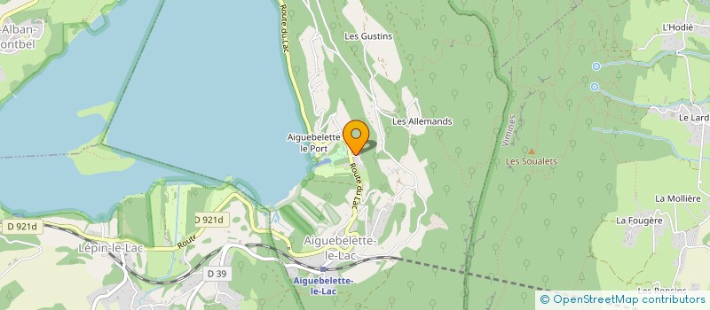 localisation de l'entreprise GROUPEMENT FONCIER AGRICOLE DE LES LECHERES  ATTIGNAT-ONCIN