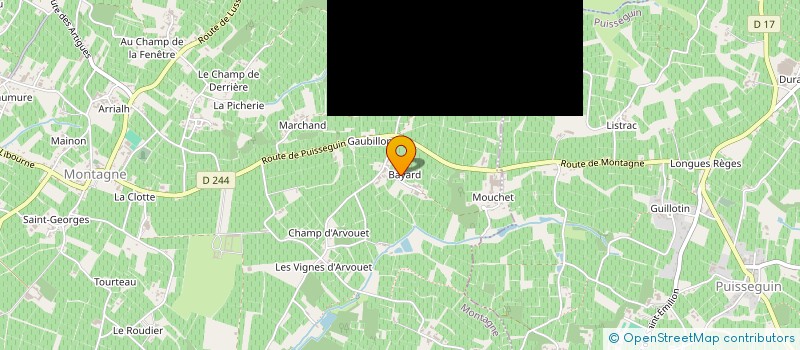 localisation de l'entreprise GROUPEMENT FONCIER AGRICOLE DES VIGNOBLES RICHARD  MONTAGNE