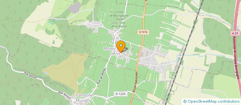 localisation de l'entreprise GROUPEMENT FONCIER AGRICOLE DIDIER ET JEAN AMIOT  MOREY-SAINT-DENIS
