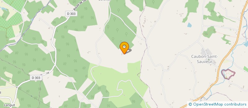 localisation de l'entreprise GROUPEMENT FONCIER AGRICOLE DU FRENE  CASTELNAU-SUR-GUPIE