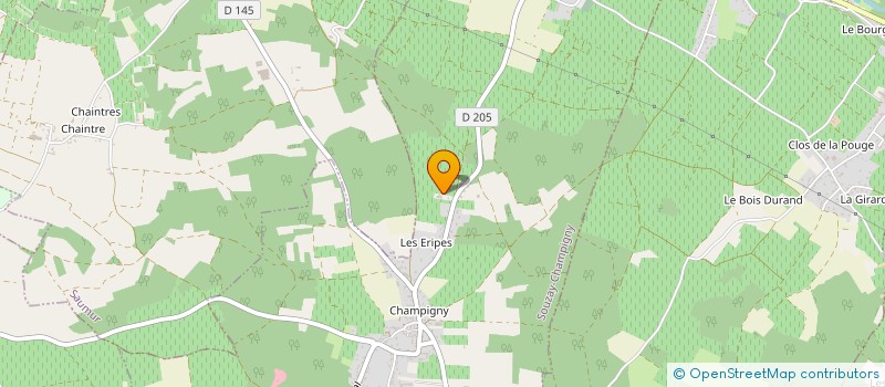 localisation de l'entreprise GROUPEMENT FONCIER AGRICOLE GFA DOMAINE DES CHALONGES  SOUZAY-CHAMPIGNY