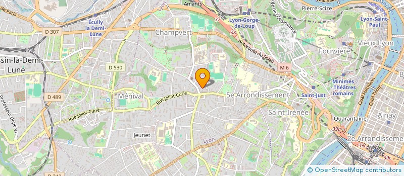 localisation de l'entreprise GROUPEMENT FONCIER AGRICOLE LES AMIS DE SAINT EMILYON  LYON