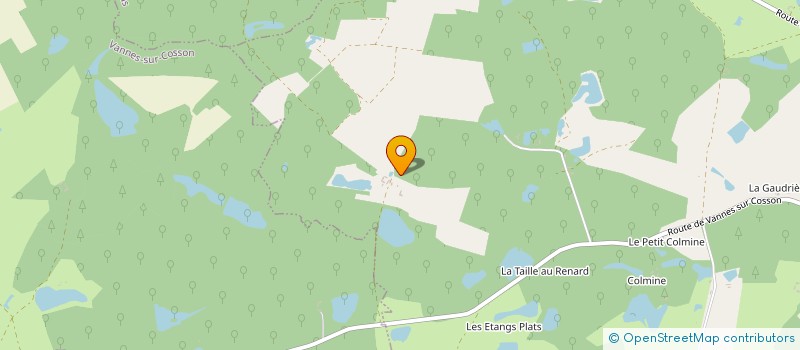 localisation de l'entreprise GROUPEMENT FORESTIER AUDENOTS NATURE  ORLEANS