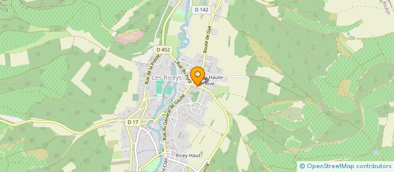 localisation de l'entreprise GROUPEMENT FORESTIER BOIS DE VENDRESSE  LES RICEYS