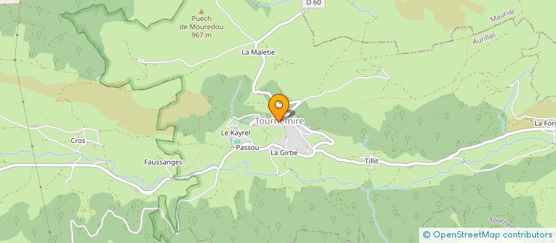 localisation de l'entreprise GROUPEMENT FORESTIER D'ANJONY à TOURNEMIRE