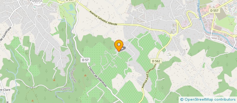 localisation de l'entreprise GROUPEMENT FORESTIER DE FAILLEFEU  PELUSSIN