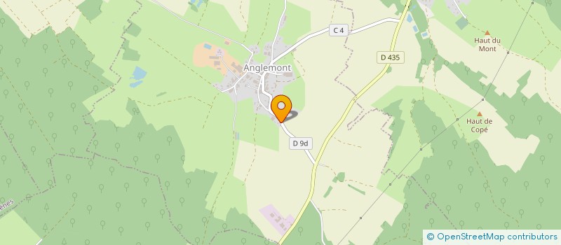 localisation de l'entreprise GROUPEMENT FORESTIER DE LA BELVITTE  ANGLEMONT