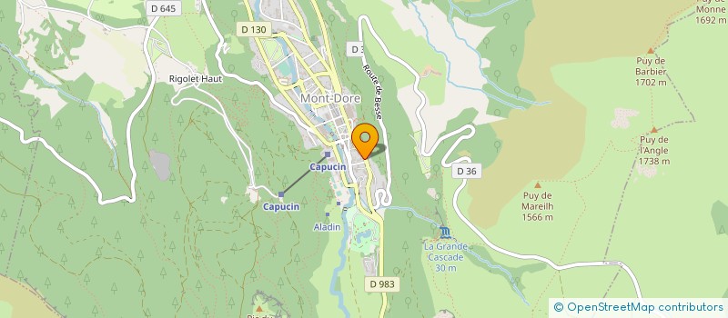 localisation de l'entreprise GROUPEMENT FORESTIER DE LA BORDERIE  MONT-DORE