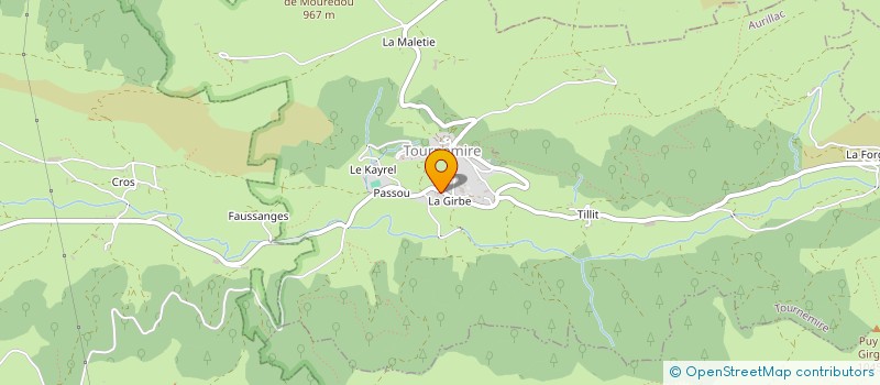 localisation de l'entreprise GROUPEMENT FORESTIER DE LA GIRBE à TOURNEMIRE