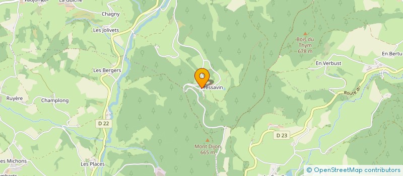 localisation de l'entreprise GROUPEMENT FORESTIER DE PRESSAVIN GROBOI à DEUX-GROSNES