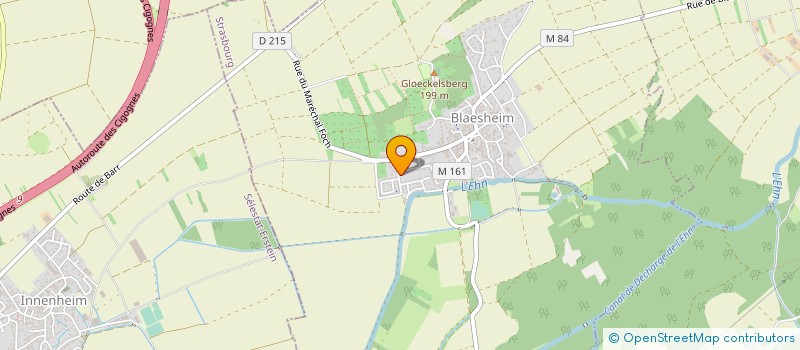 localisation de l'entreprise GROUPEMENT FORESTIER DE RIEUVAISSIERE  BLAESHEIM