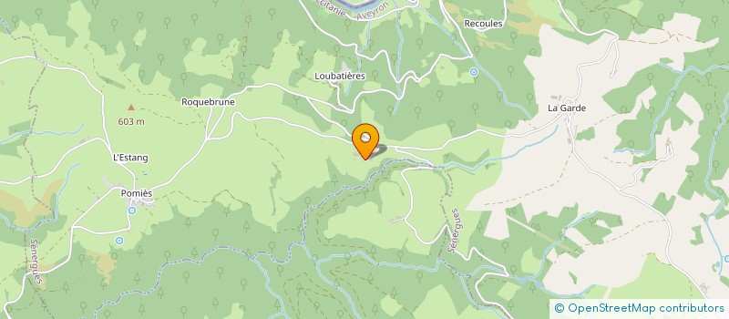 localisation de l'entreprise GROUPEMENT FORESTIER DES BOIS DE LOUBATIERES  SENERGUES