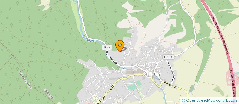localisation de l'entreprise GROUPEMENT FORESTIER DES GROISES à SELONGEY