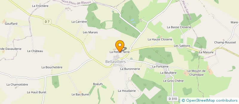 localisation de l'entreprise GROUPEMENT FORESTIER DES PETITES MARES à BELLAVILLIERS