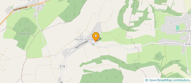 localisation de l'entreprise GROUPEMENT FORESTIER DU BOIS DE CAMA  GUINGLANGE