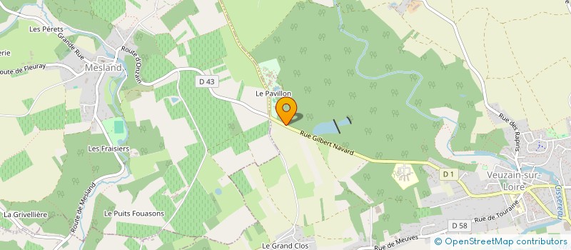 localisation de l'entreprise GROUPEMENT FORESTIER DU BOIS DES CHAMBRES  VEUZAIN-SUR-LOIRE