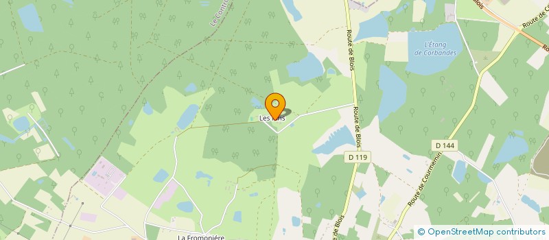 localisation de l'entreprise GROUPEMENT FORESTIER DU DOMAINE DES PINS  SOINGS EN SOLOGNE