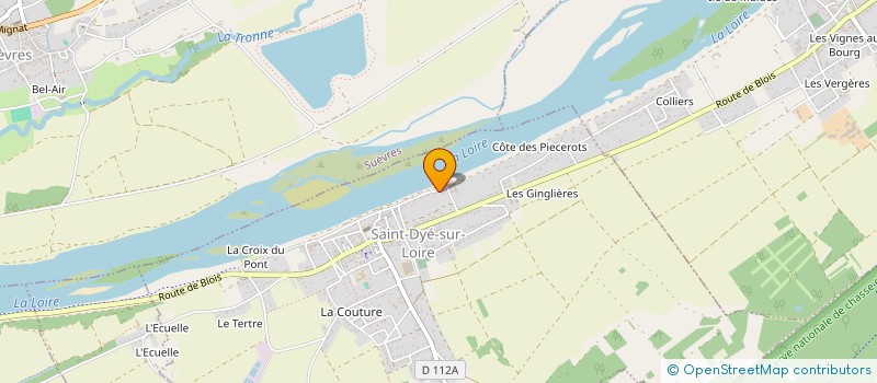 localisation de l'entreprise GROUPEMENT FORESTIER SAULDRE ET LOIRE à COUR-SUR-LOIRE