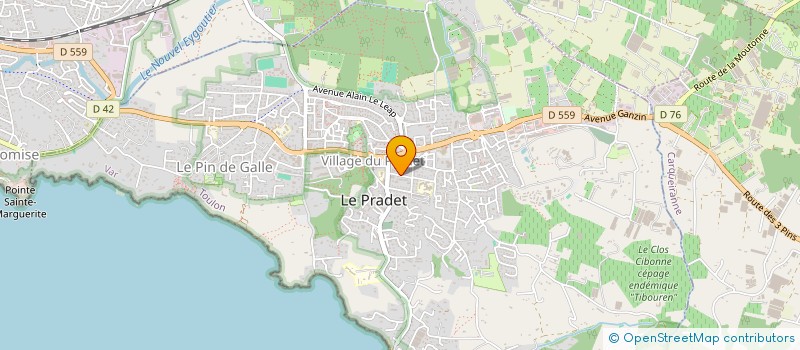 localisation de l'entreprise GSIMMO  LE PRADET