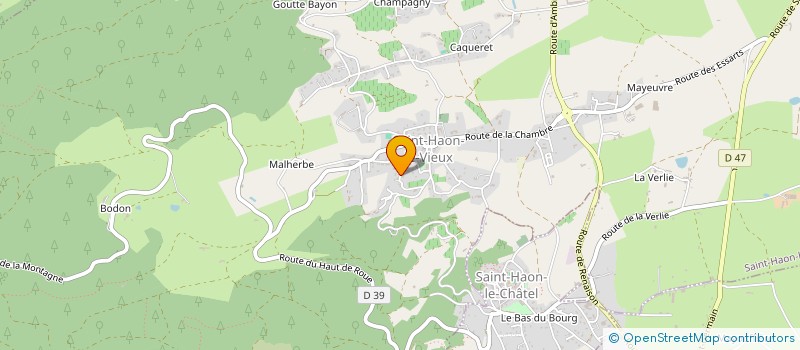 localisation de l'entreprise GTDISTRIBFRANCE à SAINT-HAON-LE-VIEUX