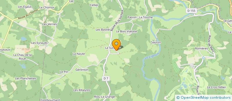 localisation de l'entreprise GTM CONSULTING  LE CHAMBON-SUR-LIGNON