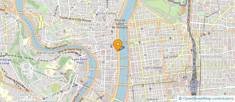 localisation de l'entreprise GUARANI à LYON