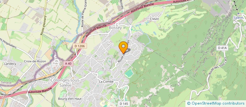 localisation de l'entreprise GUERPILLON-CONSULT.ING  COLLONGES-SOUS-SALEVE