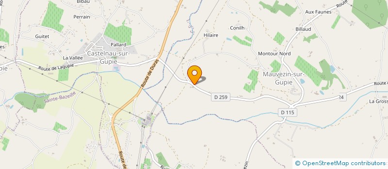 localisation de l'entreprise GUEZET IMMO  MAUVEZIN-SUR-GUPIE