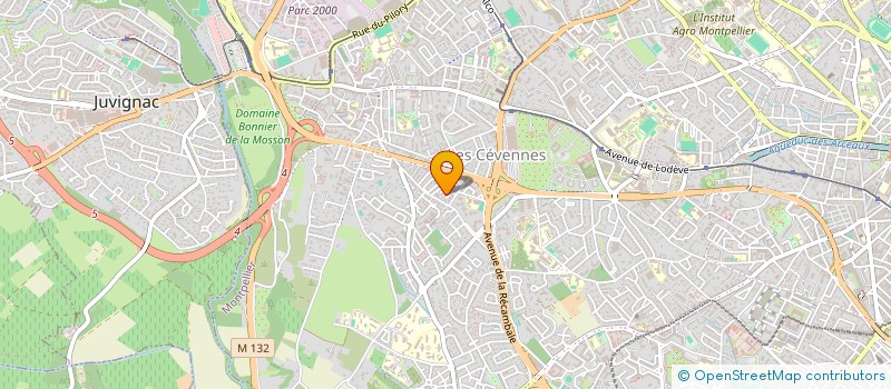 localisation de l'entreprise GUITARE PASSION à MONTPELLIER