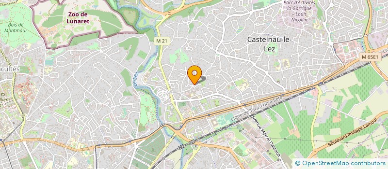 localisation de l'entreprise GUITARES-PLUS à CASTELNAU-LE-LEZ