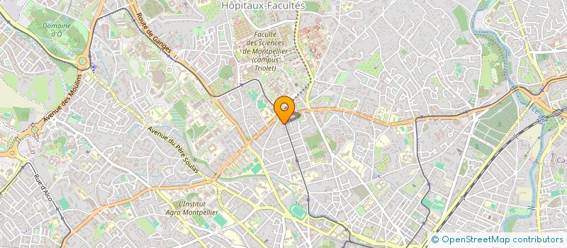 localisation de l'entreprise GUMGUTS à MONTPELLIER