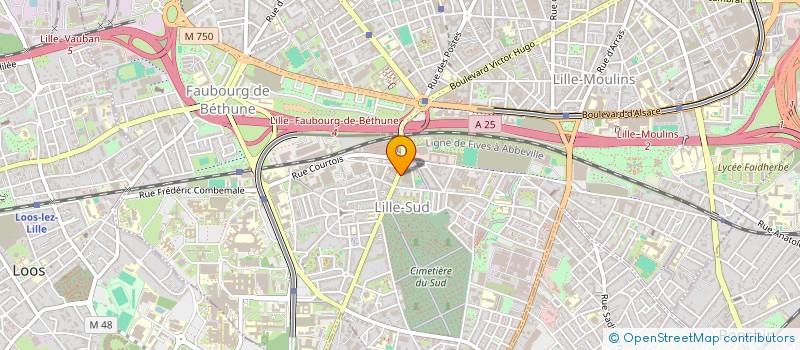 localisation de l'entreprise GUMUSE KEBAB  LILLE