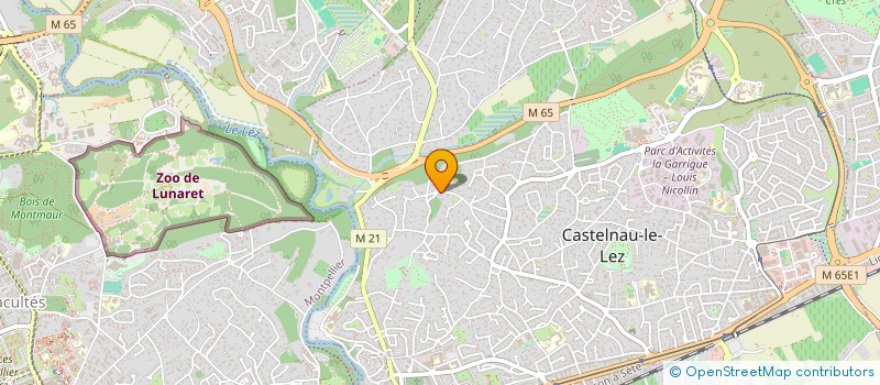 localisation de l'entreprise GUT5  CASTELNAU-LE-LEZ