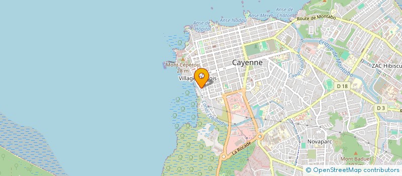 localisation de l'entreprise GUYANE ASSOCIATION ORNITHOLOGIE  CAYENNE