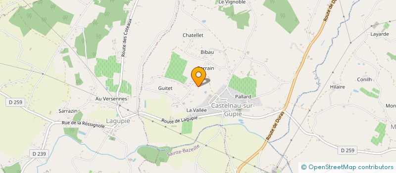 localisation de l'entreprise GWENGIE  CASTELNAU-SUR-GUPIE