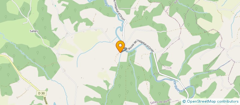 localisation de l'entreprise GYANIS TRANSPORTS EXPRESS à SALIES DE BEARN