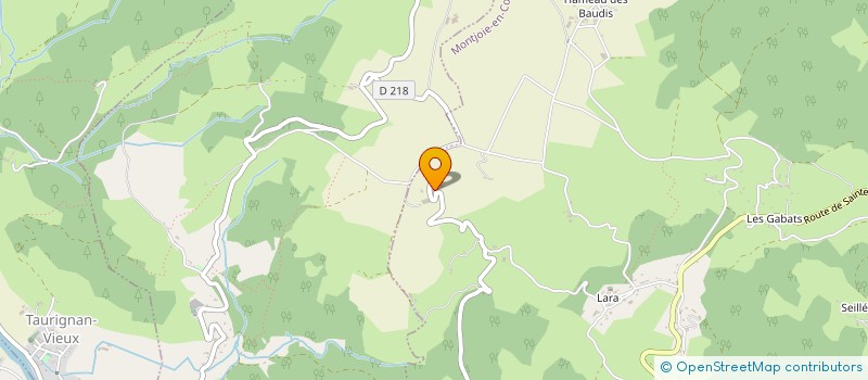 localisation de l'entreprise GYM LOISIRS AUDINAC MONTJOIE à MONTJOIE-EN-COUSERANS