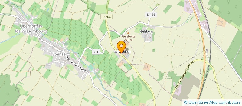 localisation de l'entreprise H & CO  STEINSELTZ