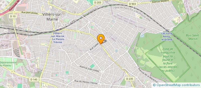 localisation de l'entreprise H&N CONSULTANCY SERVICES à LE PLESSIS-TREVISE