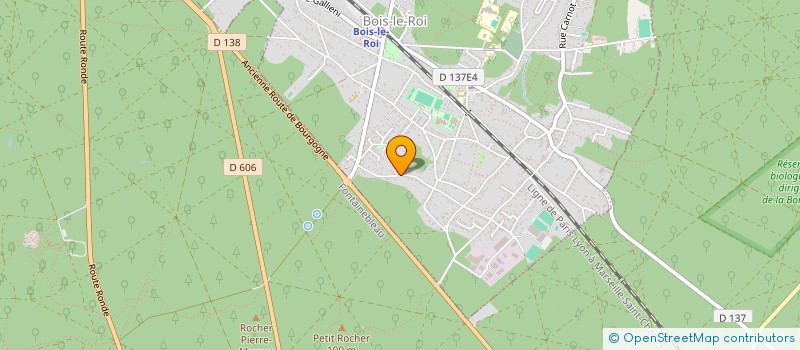 localisation de l'entreprise H2S FORMATION  BOIS-LE-ROI