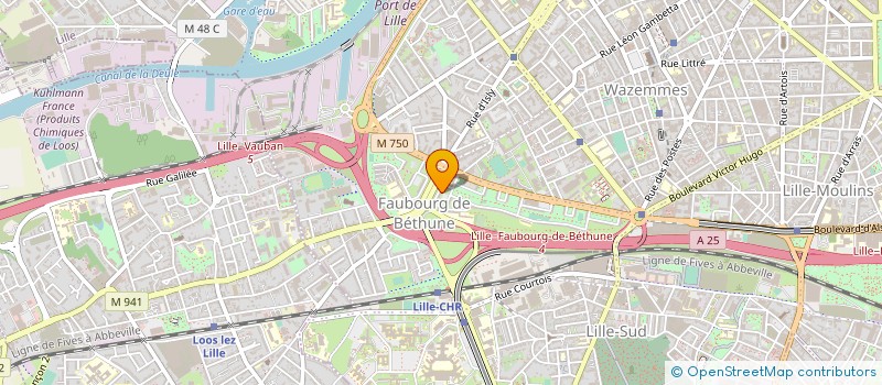 localisation de l'entreprise HADI SOCIAL à LILLE