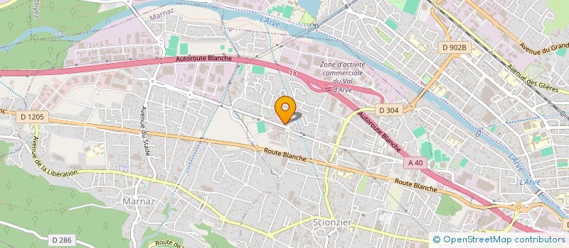 localisation de l'entreprise HAFSI FAISSAL VIANDES  SCIONZIER