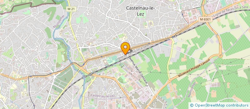 localisation de l'entreprise HAIRCUT PROFESSIONAL  CASTELNAU-LE-LEZ